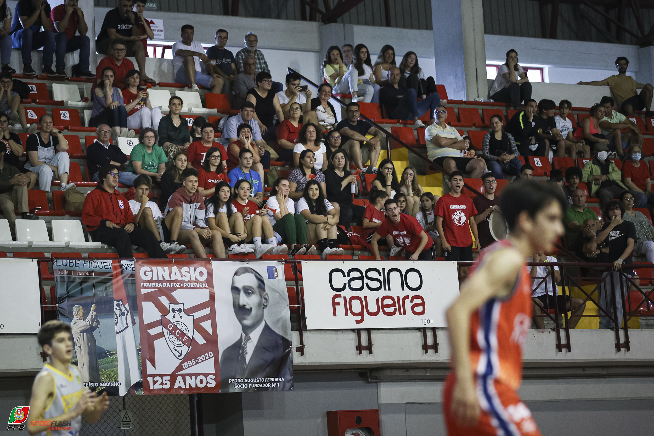 Imagem de Destaque 11