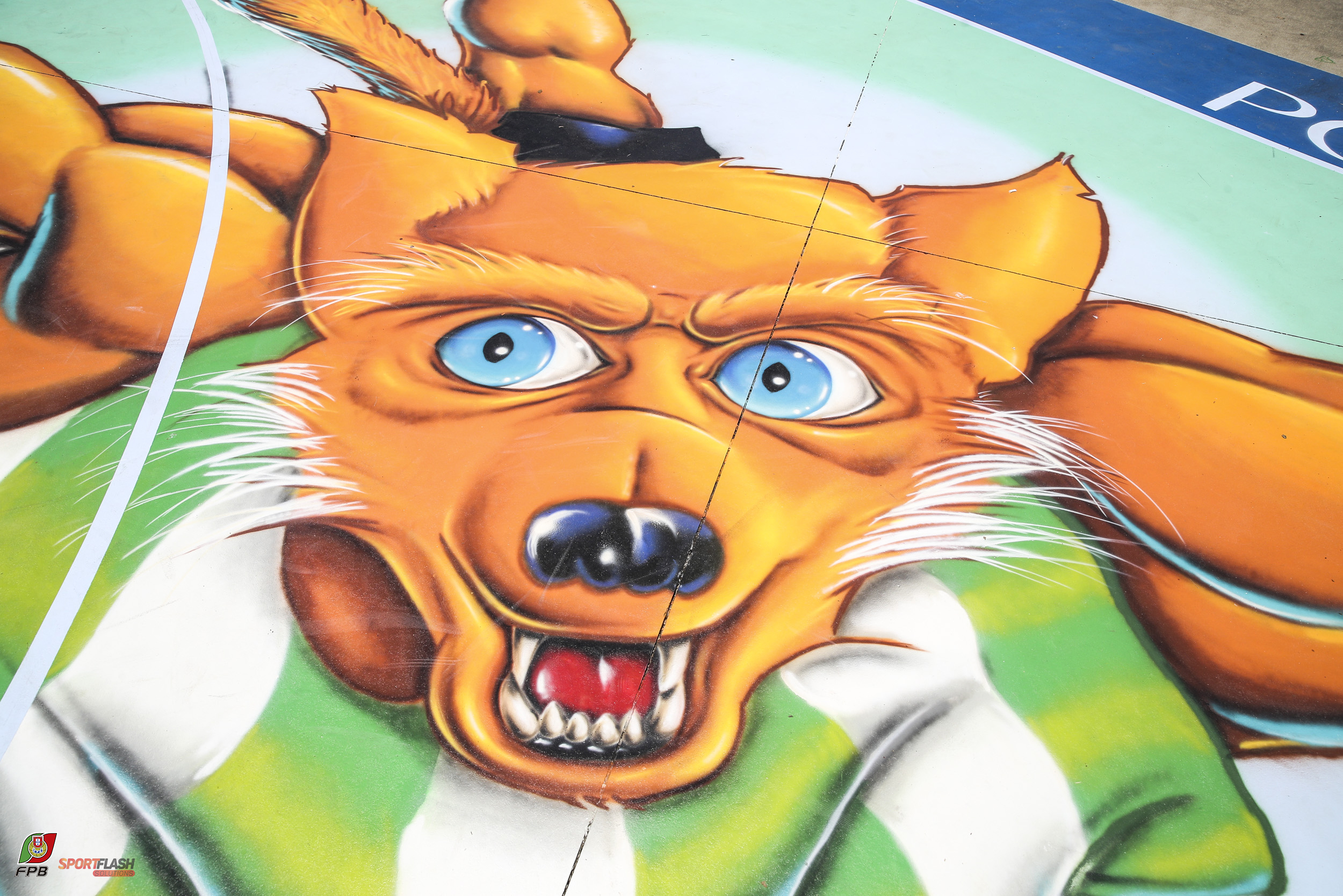 Imagem de Destaque 13