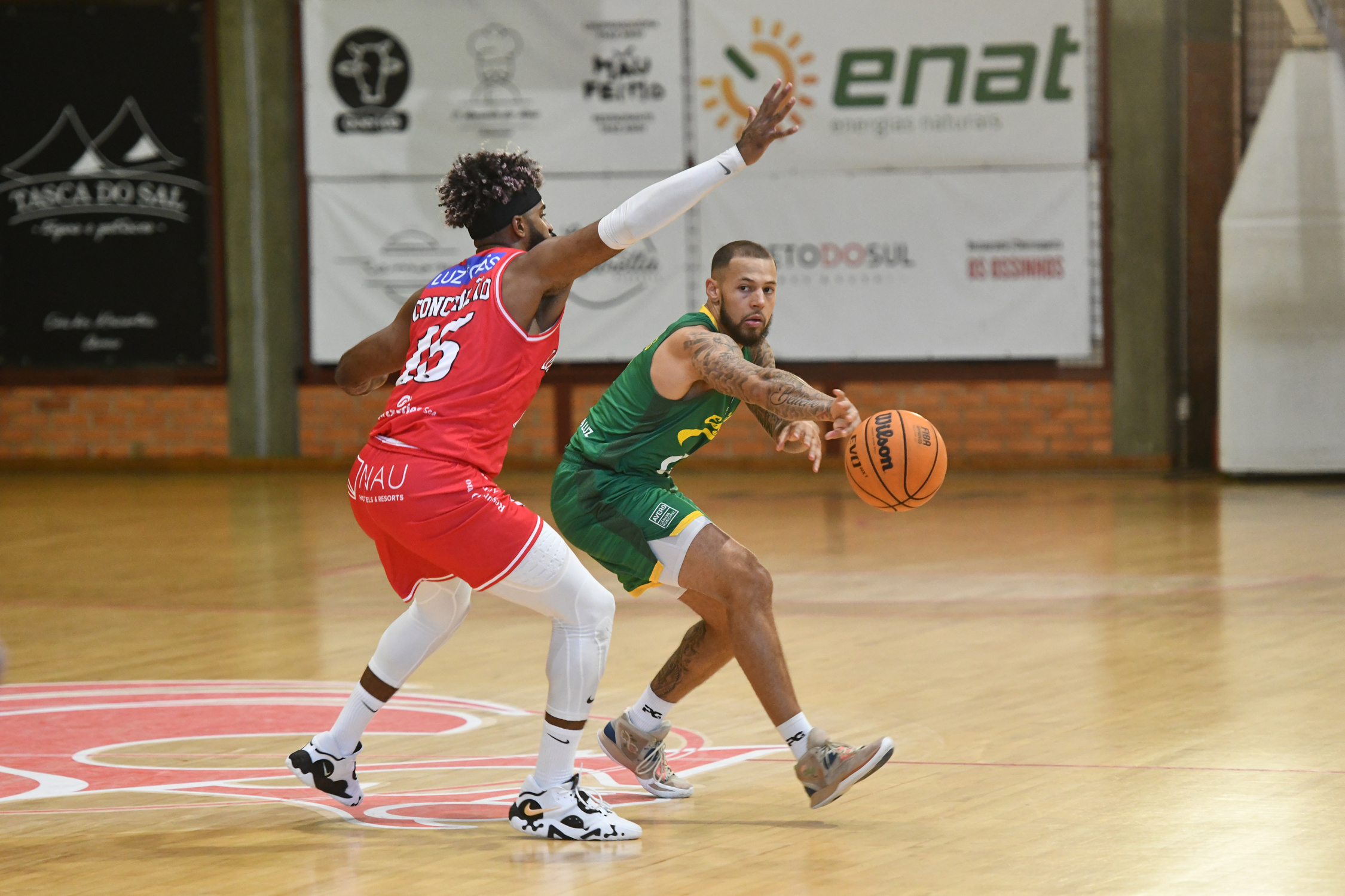 Imagem de Destaque 12