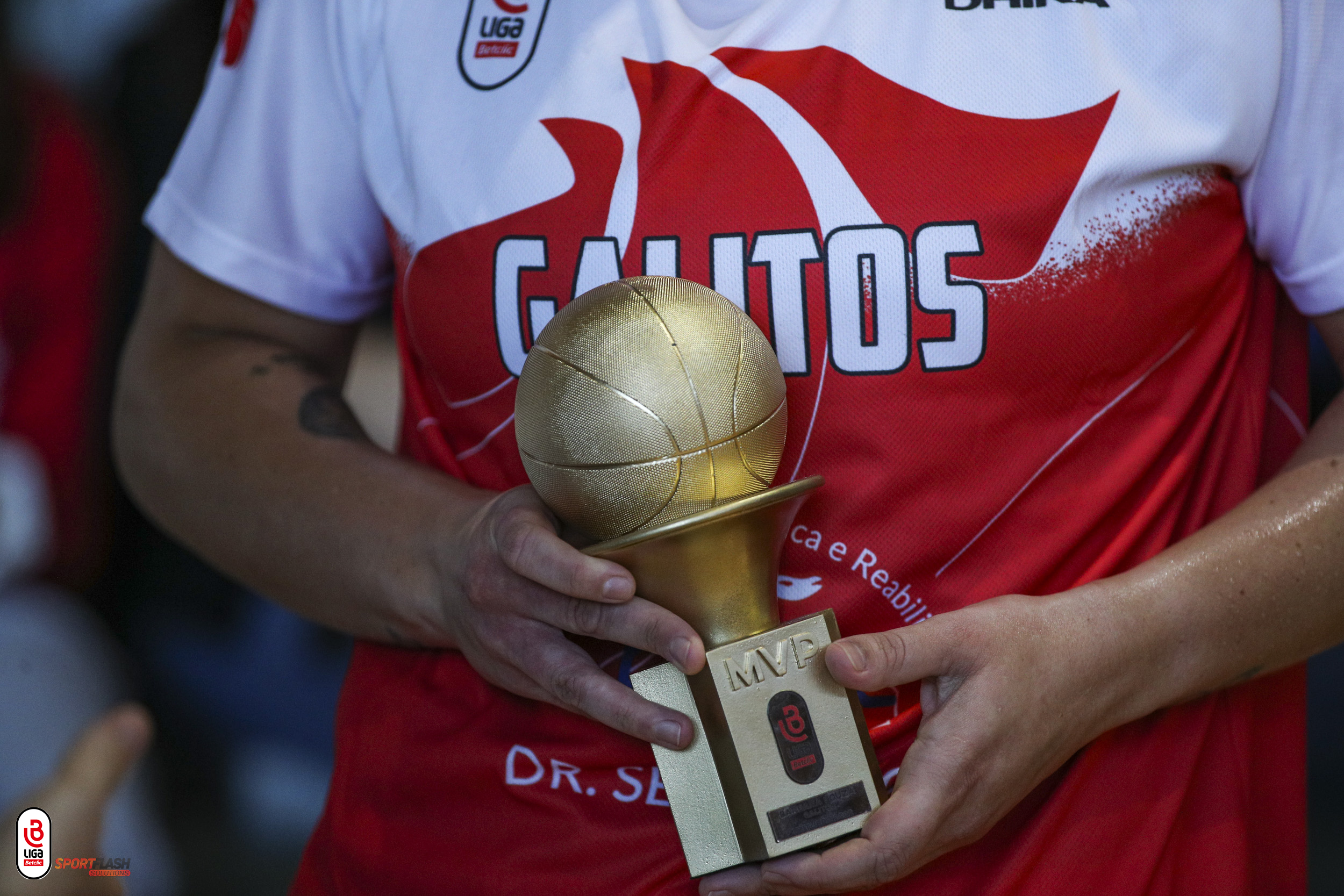 Imagem de Destaque 1