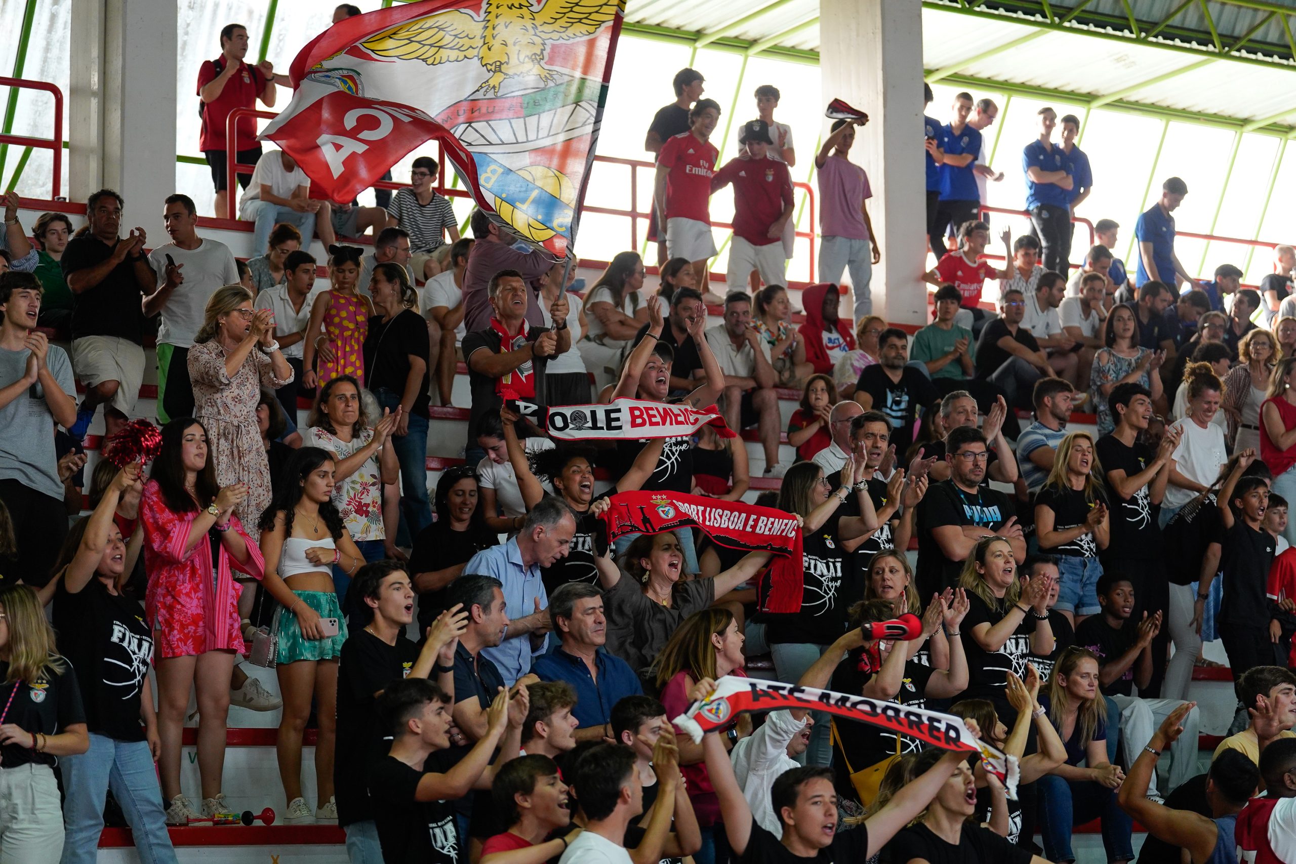 Imagem de Destaque 7