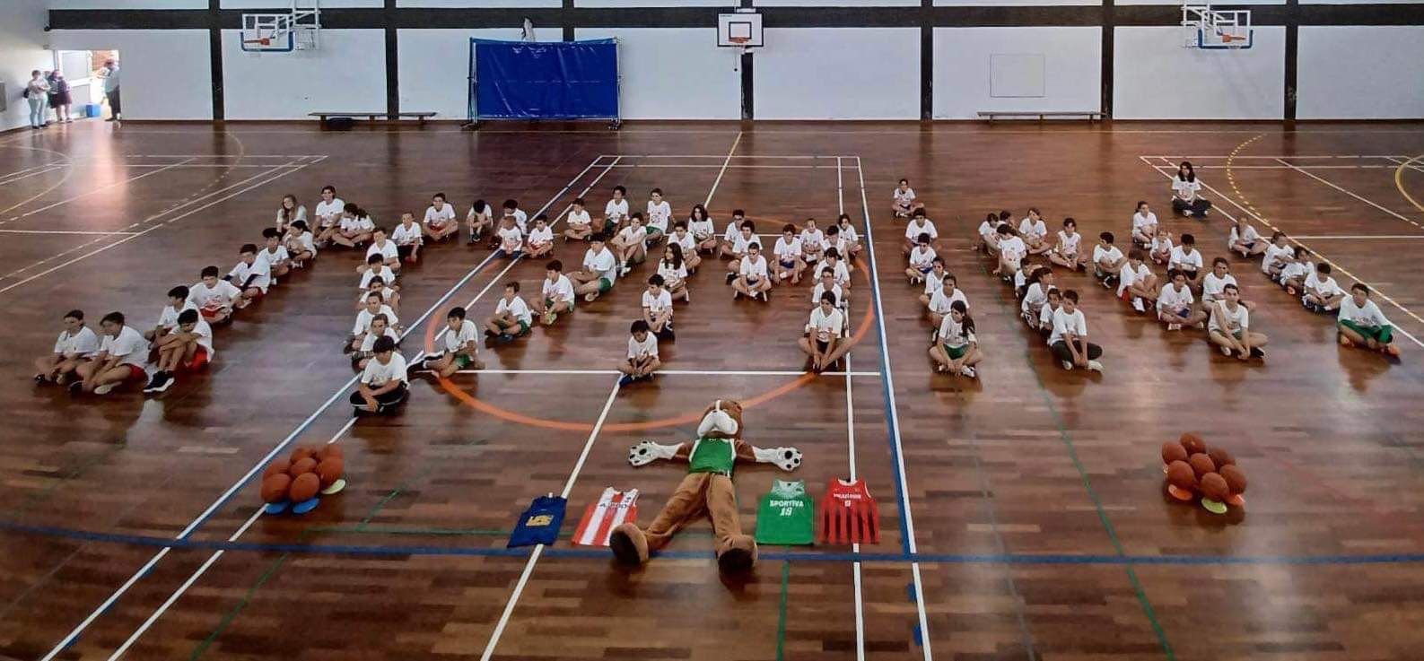 Imagem de Destaque 10
