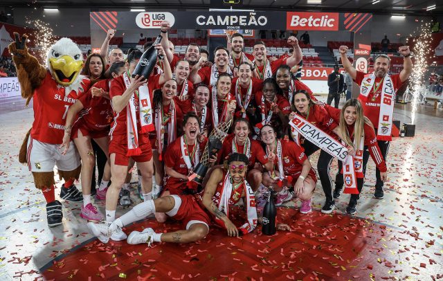 imagem da noticia